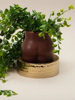 THEECL01 Maegen 16oz Curve Soy Candle - Sandalwood & Tonka