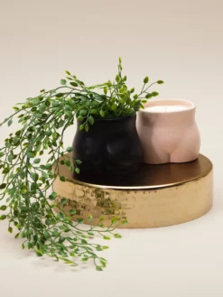 THEECL01 With Love... Maegen 6oz Curve Soy Candle - Embers & Musk