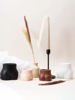 THEECL01 Maegen 6oz Curve Soy Candle - Fig Leaf & Fern