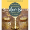 HACHET01 Buddha’s Brain: The Practical Neuroscience Of Happiness, Love, And Wisdom 2 HACHET01 Buddha’s Brain: The Practical Neuroscience Of Happiness, Love, And Wisdom