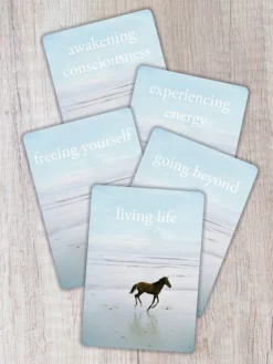 HACHET01 The Untethered Soul Card Deck Books