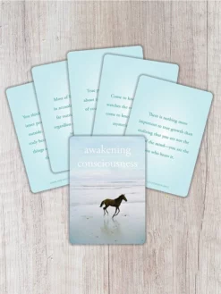 HACHET01 The Untethered Soul Card Deck Books