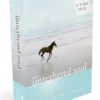 HACHET01 The Untethered Soul Card Deck Books