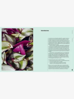 MACMIL01 Plant Therapy