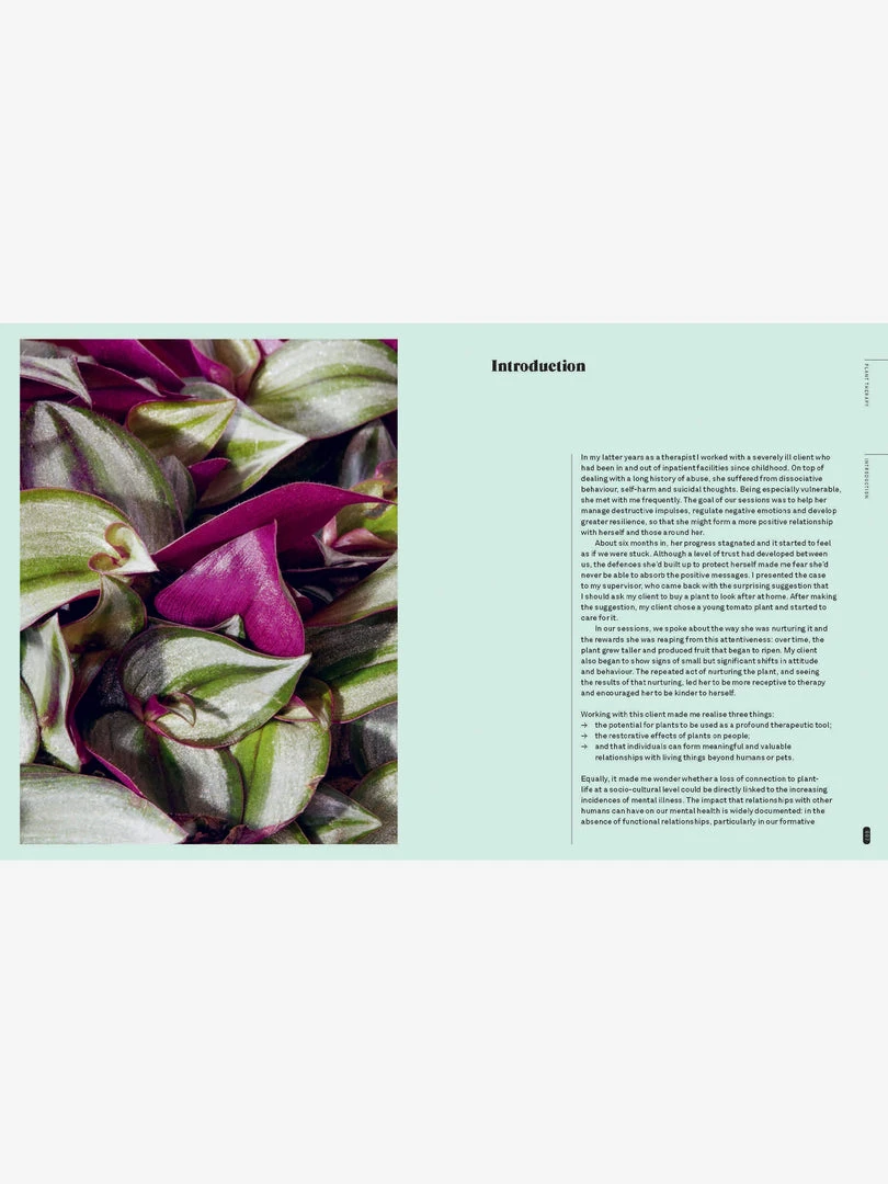 MACMIL01 Plant Therapy 4 MACMIL01 Plant Therapy