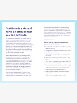 MACMIL03 Gratitude One Line A Day: A Three-Year Memory Book