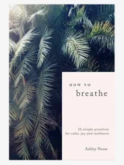 BERTRA01 Wellbeing & Lifestyle How To Breathe: 25 Simple Practices For Calm, Joy And Resilience