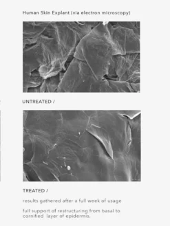 HAECKE01 Beauty & Home Gifts Haeckels Algae Plump + B3