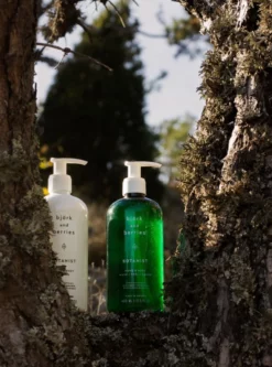 AANDBS01 Bjork & Berries Hand & Body Wash - Botanist