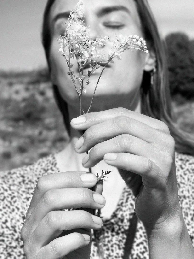 AANDBS01 Bjork & Berries Hand Cream - Botanist Wellbeing & Lifestyle 5 AANDBS01 Bjork & Berries Hand Cream - Botanist Wellbeing & Lifestyle