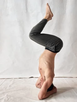 ALPINE01 Clothing PrAna Vaha Straight Pant - Dark Grey 9 ALPINE01 Clothing PrAna Vaha Straight Pant - Dark Grey