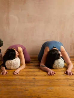 New In Yogamatters Luxury Daisy Print Restorative Yoga Kit