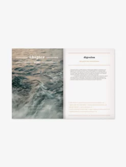 STONEM01 Beauty Water: Everyday Hydration Recipes For Wellness And Self-Care