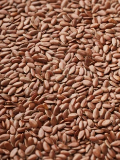 LOYALE01 Yogamatters Celestial Cotton Eye Pillow Equipment & Accessories