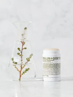 MALING01 Malin+Goetz Botanical Deodorant Wellbeing & Lifestyle
