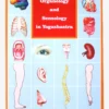 YOGMUM01 Organology & Sensology In Yogashastra Books 1 YOGMUM01 Organology & Sensology In Yogashastra Books