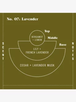 CANDLE01 P.F. Candle Co 7.2oz Soy Candle - Lavender 7 CANDLE01 P.F. Candle Co 7.2oz Soy Candle - Lavender