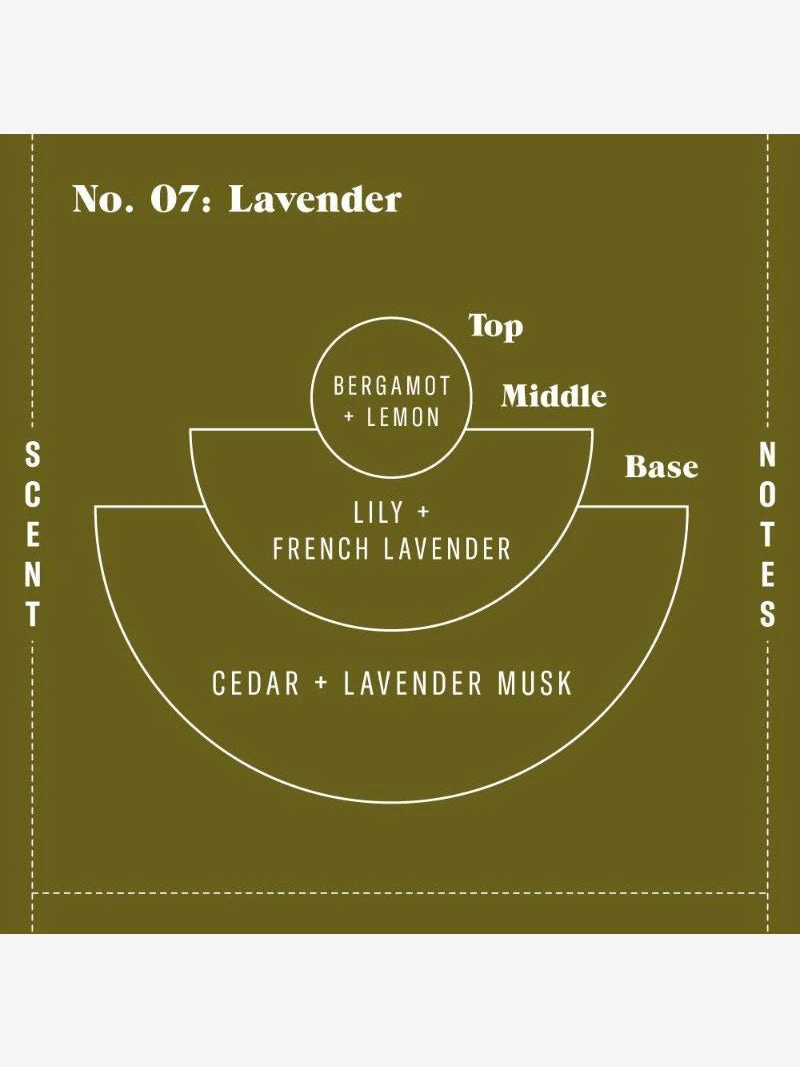 CANDLE01 P.F. Candle Co 7.2oz Soy Candle - Lavender 5 CANDLE01 P.F. Candle Co 7.2oz Soy Candle - Lavender