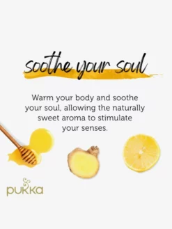 PUKKAH01 Pukka Lemon, Ginger & Manuka Honey Organic Tea