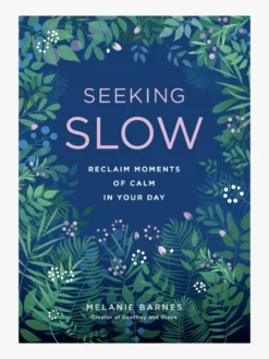 HACHET01 Seeking Slow