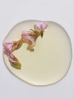 SKINAN01 Skin & Tonic Calm Down Face Oil