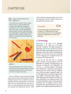 BOOKSO01 Spiral Bound Integrated Anatomy For Yoga