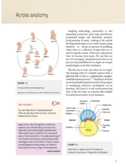 BOOKSO01 Spiral Bound Integrated Anatomy For Yoga