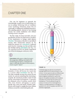 BOOKSO01 Spiral Bound Integrated Anatomy For Yoga