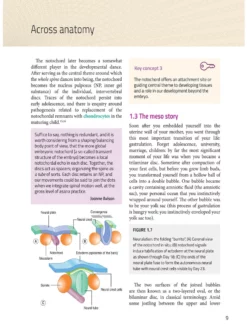 BOOKSO01 Spiral Bound Integrated Anatomy For Yoga