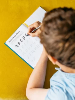 POSITI02 Books The Positive Planner Bullet Diary