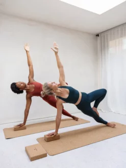 EASEDK01 Girlfriend Collective Paloma Bra