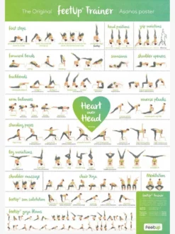 FEETUP01 FeetUp Headstand Yoga Stool - Classic Yoga Chairs & Feetup 14 FEETUP01 FeetUp Headstand Yoga Stool - Classic Yoga Chairs & Feetup