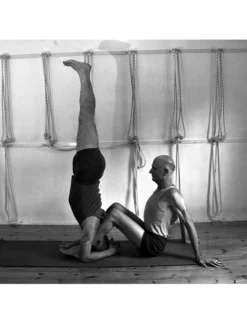 EYALSH01 Props For Yoga Volume 3: Inverted Asanas Books