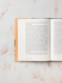 GBS&TB01 Books Meditation For Beginners Book & CD