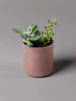 AERYLT01 Aery Fernweh Collection Candle - Moroccan Rose