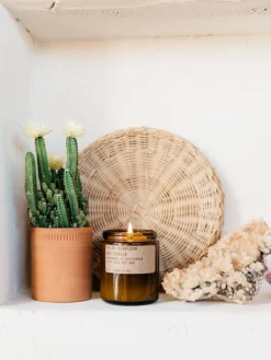 CANDLE01 P.F. Candle Co 7.2oz Soy Candle - Sunbloom