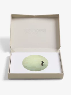 THESCH01 The School Of Life Cards For Perspective