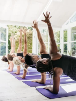 MATTER02 Yogamatters Sticky Yoga Mat - Box Of 12