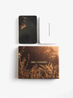 THESCH01 The School Of Life Small Pleasures Card Set