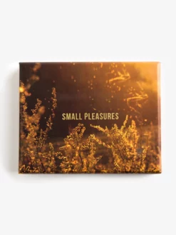 THESCH01 The School Of Life Small Pleasures Card Set