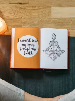 POSITI02 The Positive Planner Wellness Journal Books 13 POSITI02 The Positive Planner Wellness Journal Books