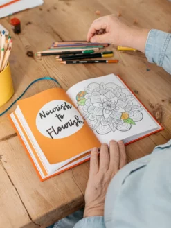 POSITI02 The Positive Planner Wellness Journal Books 15 POSITI02 The Positive Planner Wellness Journal Books