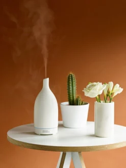 SANATI01 Wellbeing & Lifestyle Sanatio Naturalis Ultrasonic Porcelain Aroma Diffuser