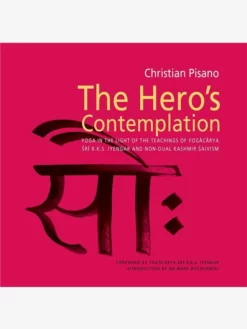 PINTER01 Books The Hero's Contemplation