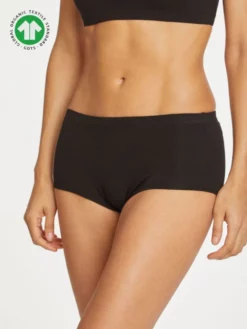 BRAINT01 Thought Organic Cotton High Waisted Brief Clothing
