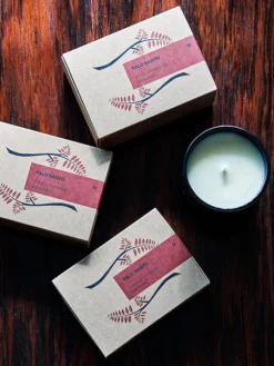 WORLDL01 Worldly Aromas Palo Santo - 5 Sticks Meditation Equipment