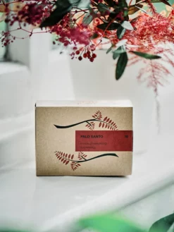 WORLDL01 Worldly Aromas Palo Santo - 10 Sticks Meditation Equipment