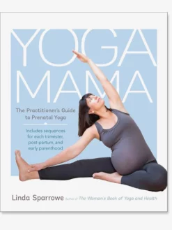 GBS&TB01 Yoga Mama: The Practitioner's Guide To Prenatal Yoga Books