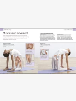 PENGUI01 Yoga : Your Home Practice Companion Yoga & Meditation GIfts